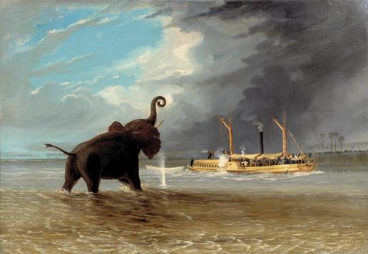 “Elephant in the Shallows of the Shire River, the steam launch firing”, T Baines, 1859, oil on canvas, © Royal Geographical Society, Baines 29.